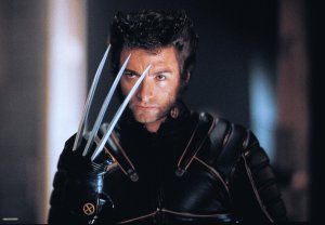 Hugh Jackman as Wolverine